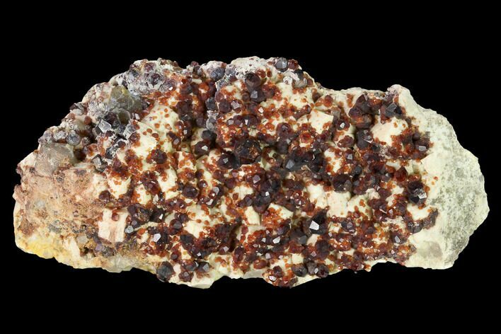 Spessartine Garnets & Smoky Quartz on Feldspar - China #146684